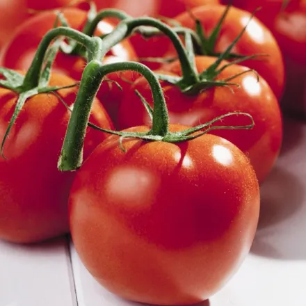 Tomate Cherry