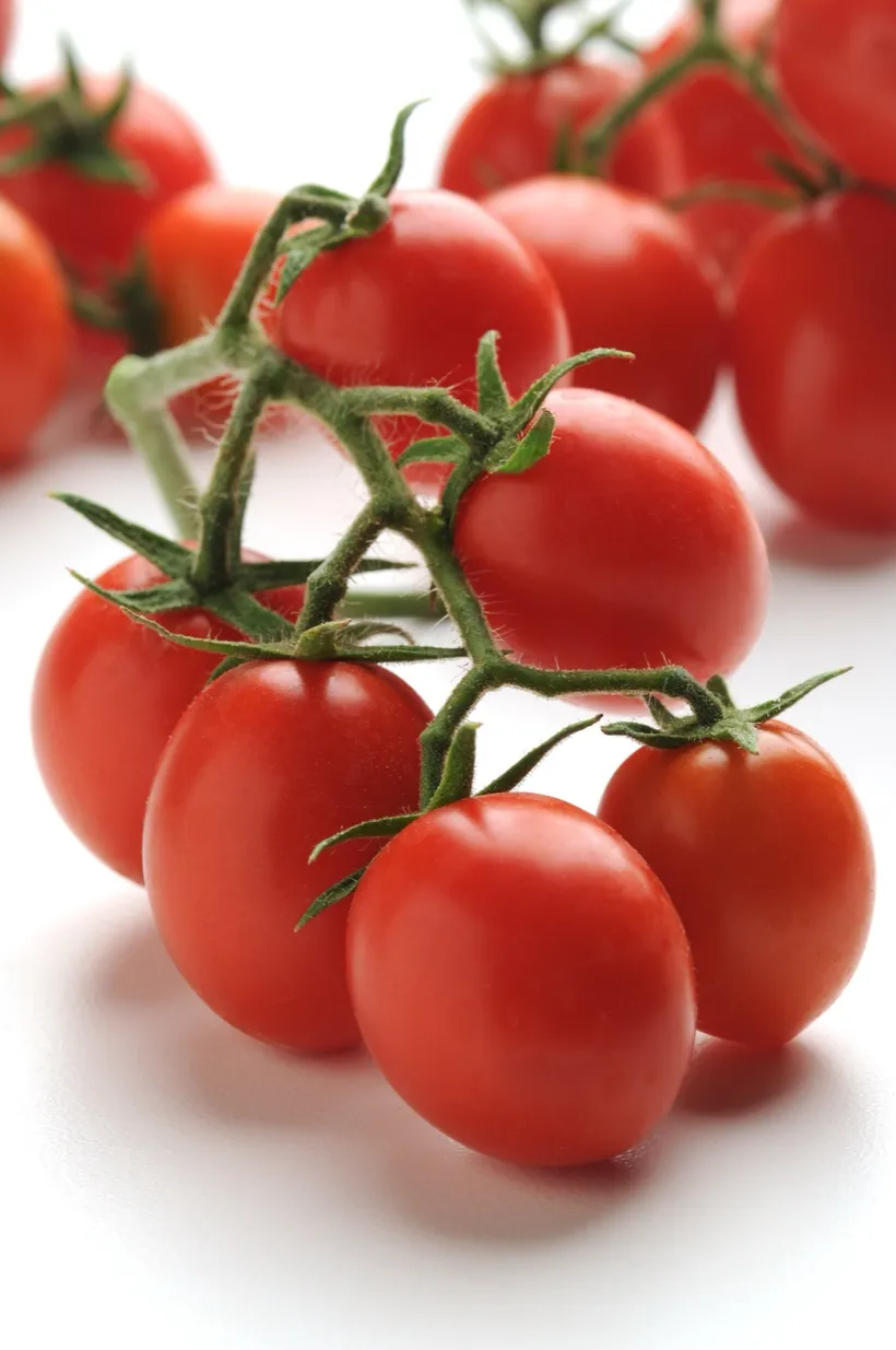 Tomate Cherry F1 — imagen 2
