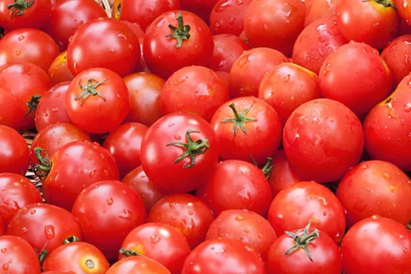 Tomate Cherry F1 — imagen 5
