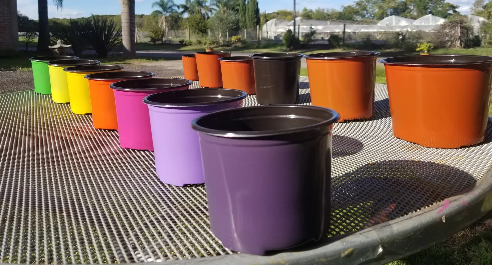 Macetas termoformadas de fabricación propia en distintos colores, con los invernaderos de producción de fondo